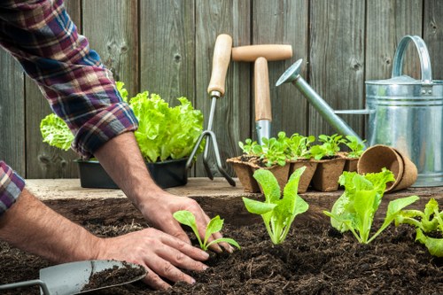 Garden safety inspection and risk assessment by a Lower Clapton gardening team
