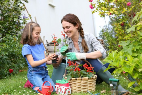 Seasonal planting in a Lower Clapton outdoor space