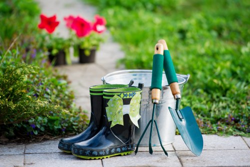 Freshly mown lawn in a Lower Clapton garden