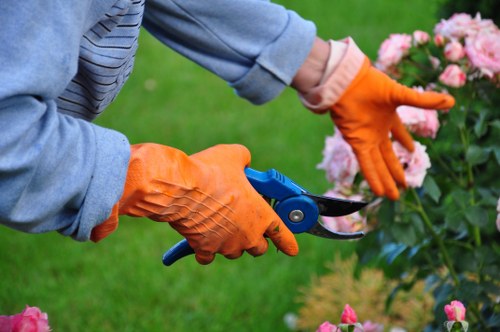 Sustainable gardening and recycling service in Lower Clapton