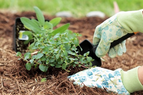 Liability and cancellation terms for garden services