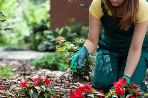 A well maintained garden in Lower Clapton with layered planting