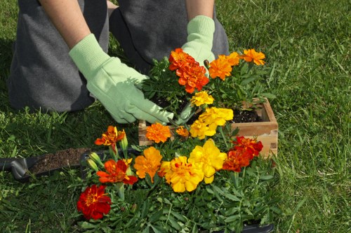 Accessibility request support for Gardeners Lower Clapton visitors