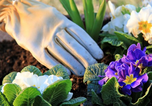 Gardeners in Lower Clapton providing local garden care