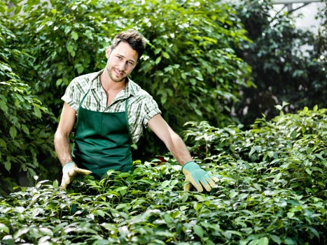 Well-maintained outdoor space with gardening services in Lower Clapton