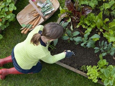 Final principles of a professional gardening complaints policy