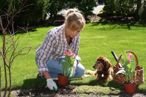 Professional gardeners in Lower Clapton completing work with safety measures in place