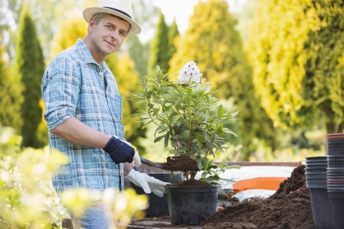 Keyboard-accessible Lower Clapton gardening information layout