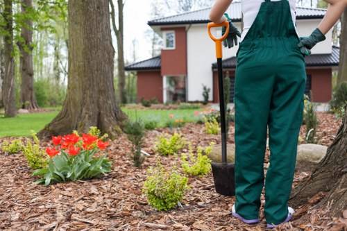 Team clearing weeds, rubble, and outdoor clutter in Lower Clapton