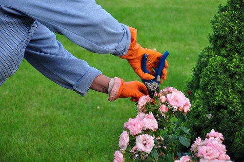 How a gardening complaint is reviewed and assessed