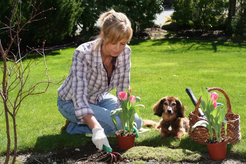Professional garden maintenance in Lower Clapton