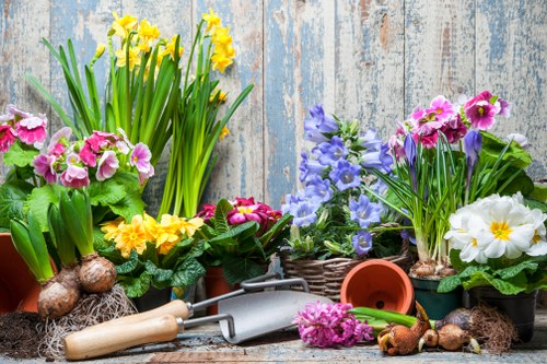 Local gardeners improving a Lower Clapton garden