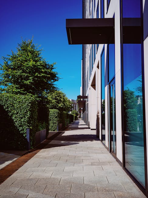 A modern urban sidewalk running alongside a contemporary building with large glass windows and white exterior walls. On the left side of the path, there are neatly trimmed green hedges and a tall leaf