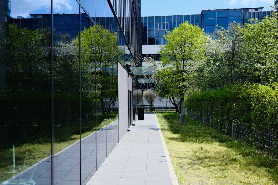 A modern urban sidewalk running alongside a contemporary building with large glass windows and white exterior walls. On the left side of the path, there are neatly trimmed green hedges and a tall leaf