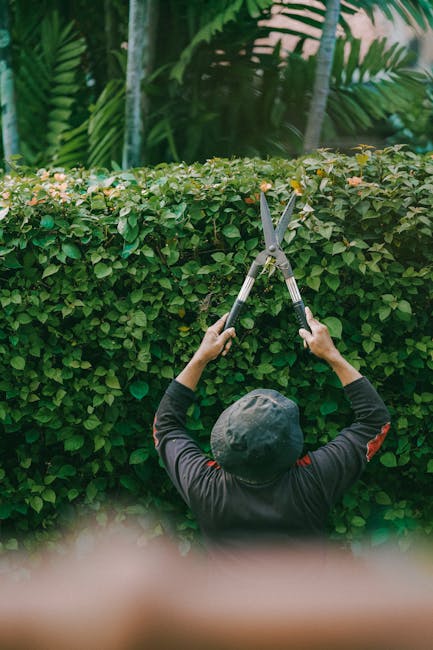 Hidden fees explained garden maintenance quotes in Lower Clapton
