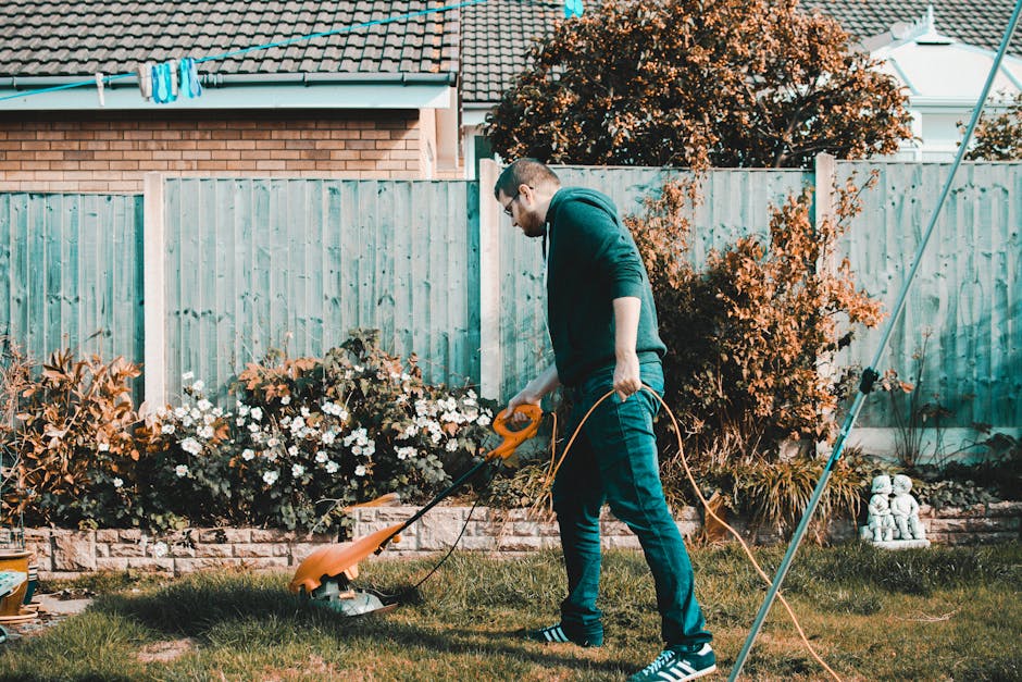 A person wearing a dark jacket and a grey hat is seen from behind, trimming a dense, well-maintained hedge with a pair of long-handled pruning shears. The hedge has small, glossy green leaves and runs