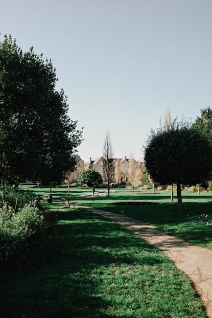 A spacious urban park scene featuring a straight, well-trodden dirt pathway winding through lush green lawns and bordered by neatly trimmed, rounded trees with dense foliage. On the left side, there a